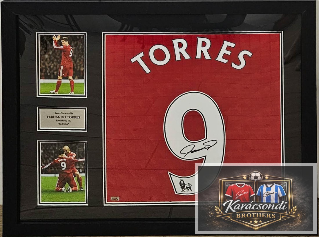 FERNANDO TORRES